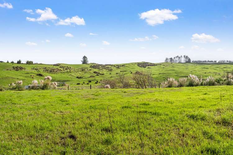 230 Tavinor Road Otaika_9