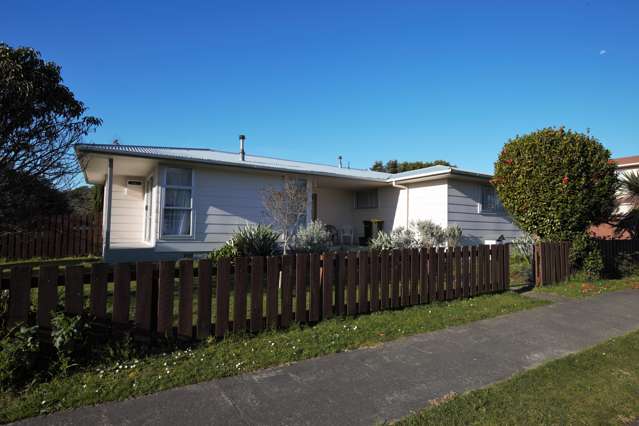 53 Morgan Crescent Levin_1