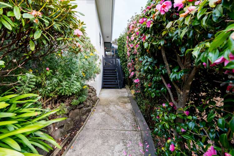 162 Somerville Street Waverley_32