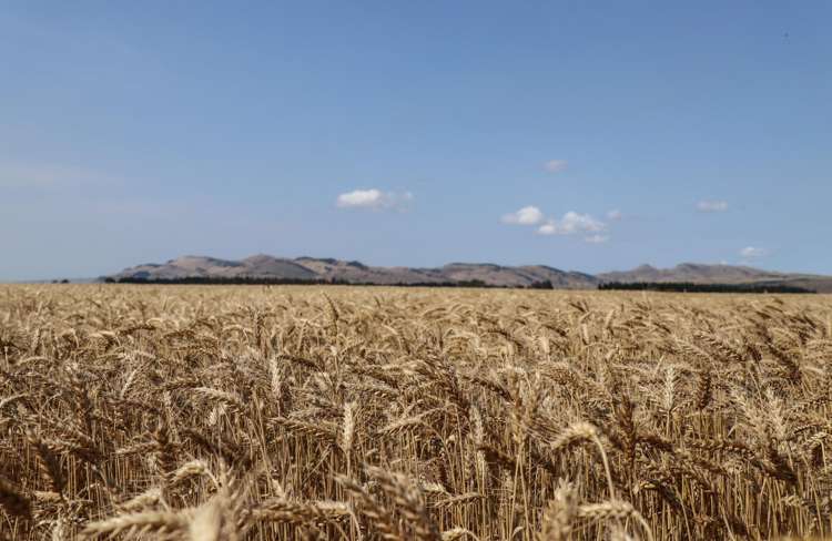 400 Mandeville Kingston Crossing Road Nine Mile_1