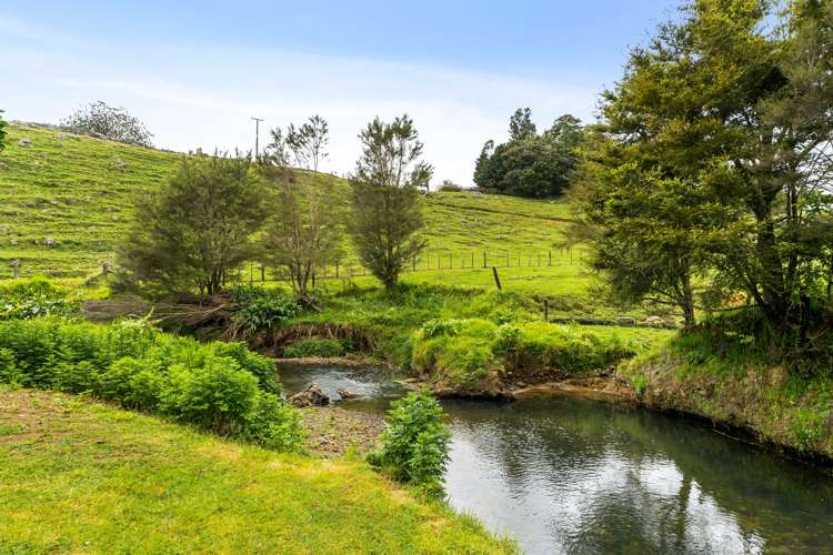 27a Huia Street Whau Valley_28