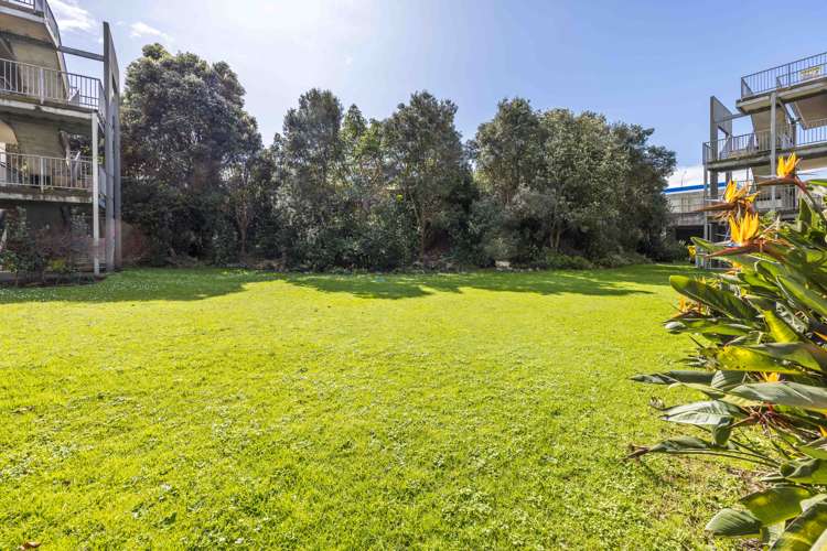 Gg/11 Morning Star Place Mount Albert_14