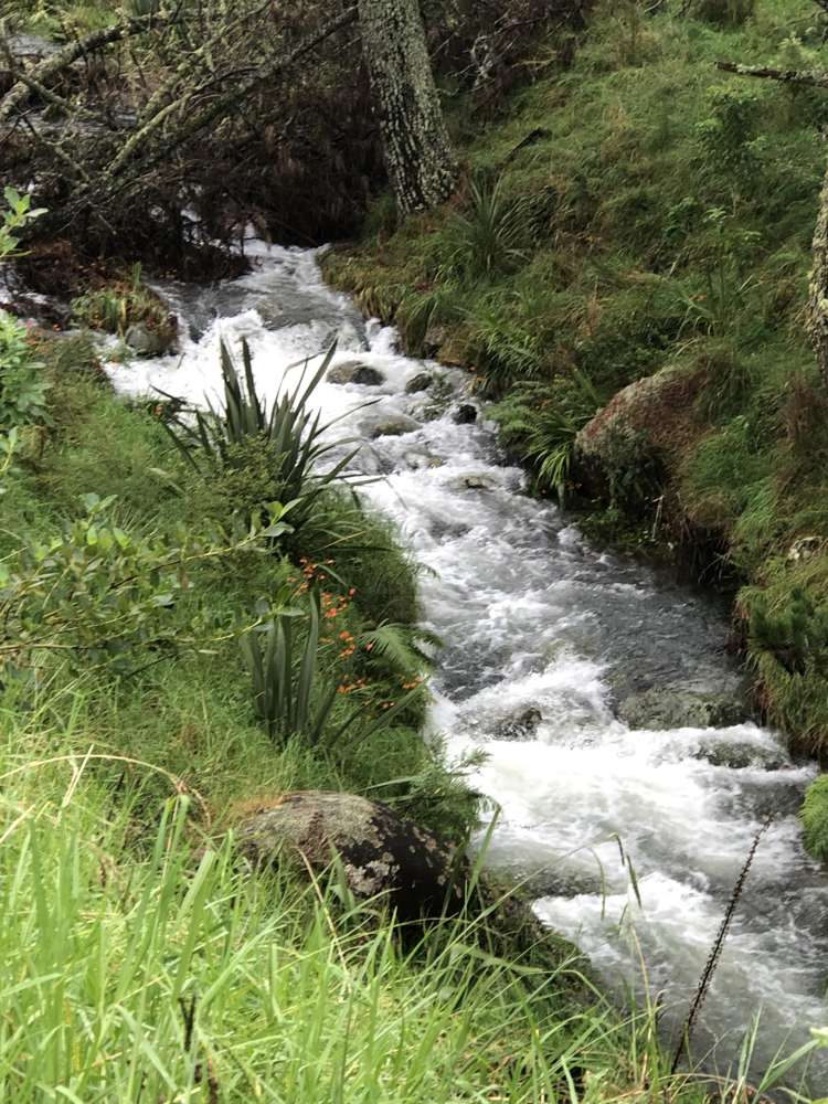 244 Lindemann Road Tahawai_20