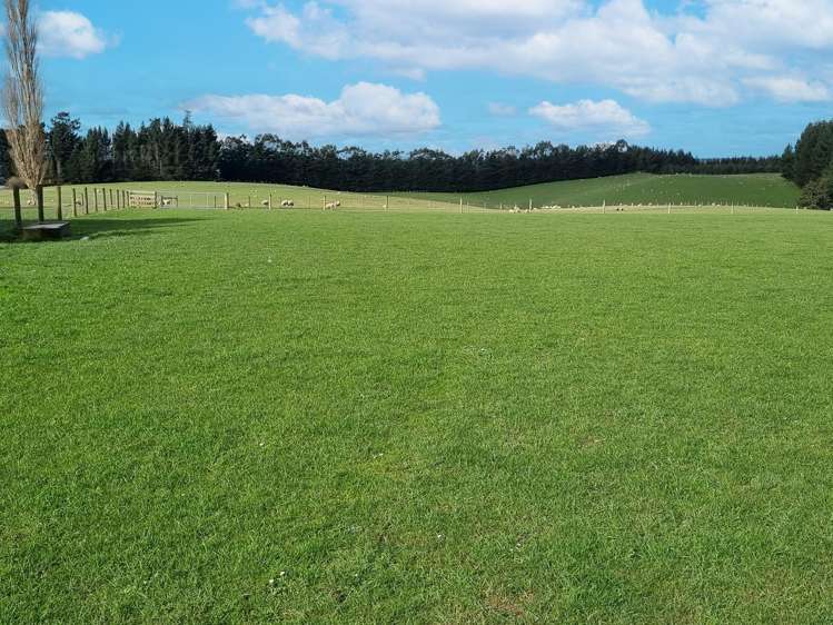 466 Taumata Road, Ashley Downs Clinton_2