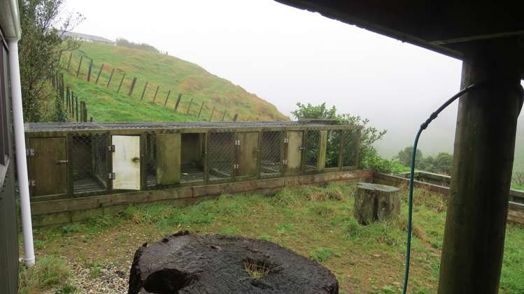 291 Mahoe Road Waitomo_16