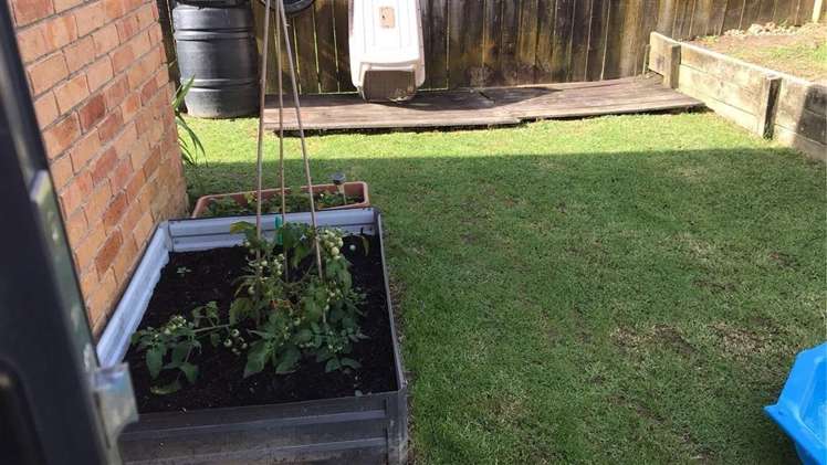 10 Liddesdale Place 10938_8