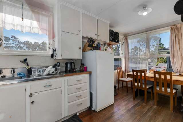 180 Tennessee Avenue Mangere East_2