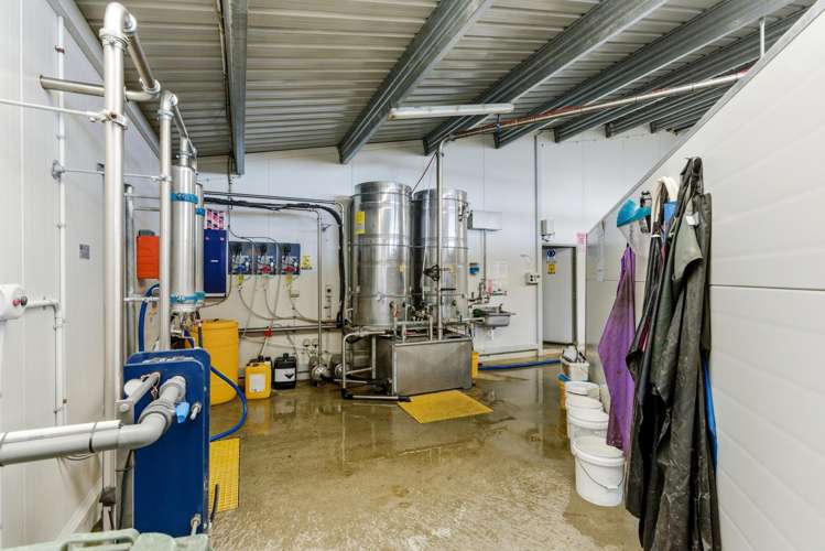 803 Ardlui Road Te Pirita_13