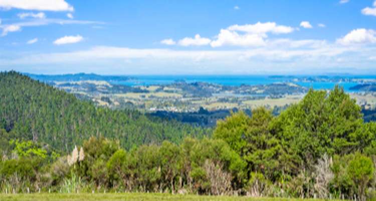 3/181C Govan Wilson Road_0