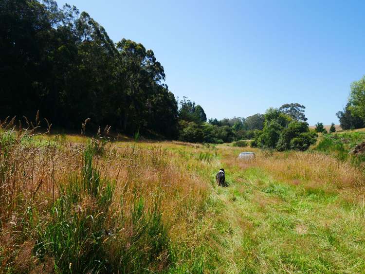 2705 Waikouaiti-Waitati Road Waikouaiti_16