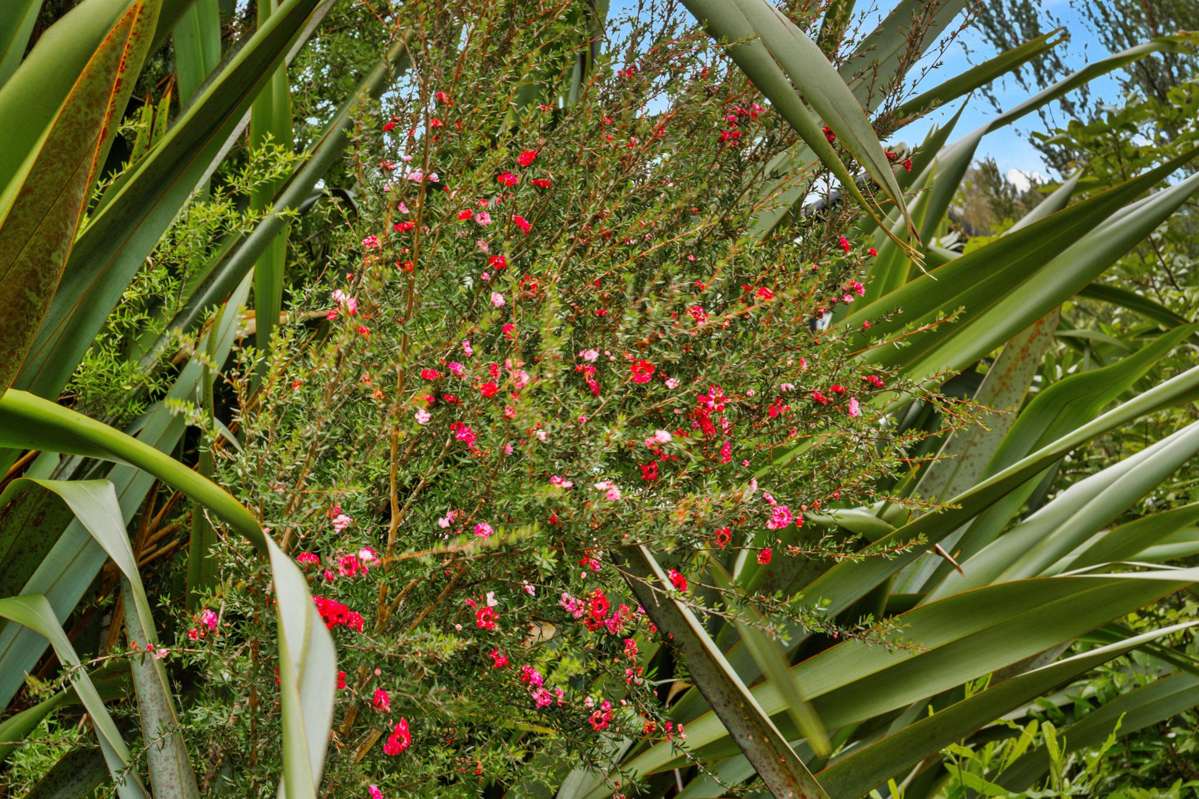 Lot Lot 5/115 Screen Road_1