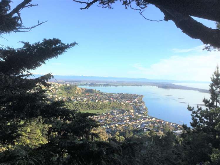 148g Panorama Road Clifton_1