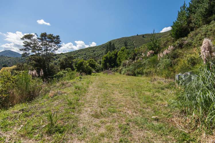 131 Queen Charlotte Drive Havelock_2