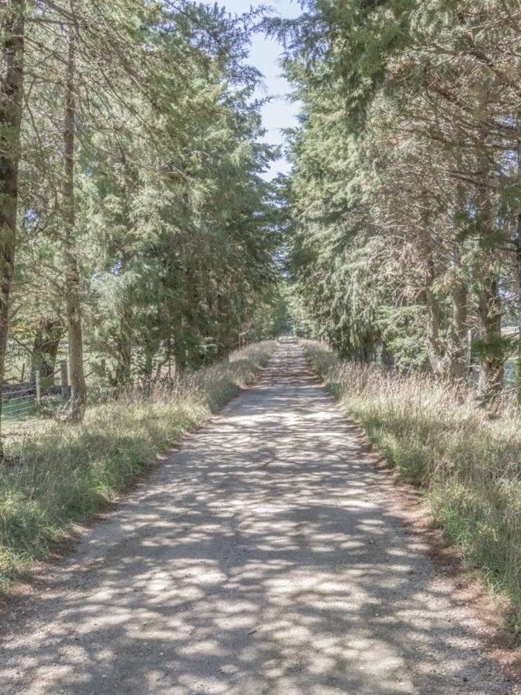 383 Norfolk Road Carterton_16