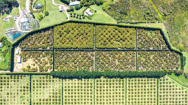 25 Orua Lane Whenuakite_2