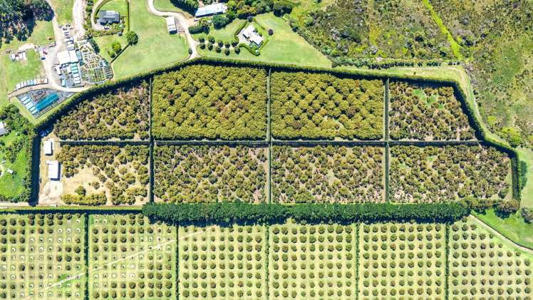 25 Orua Lane Whenuakite_1