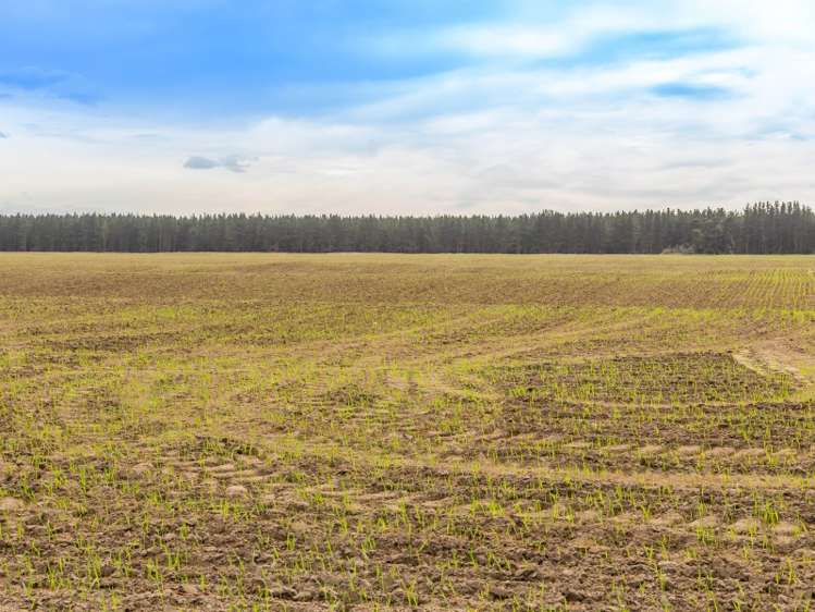 554 Old West Coast Road West Melton_11