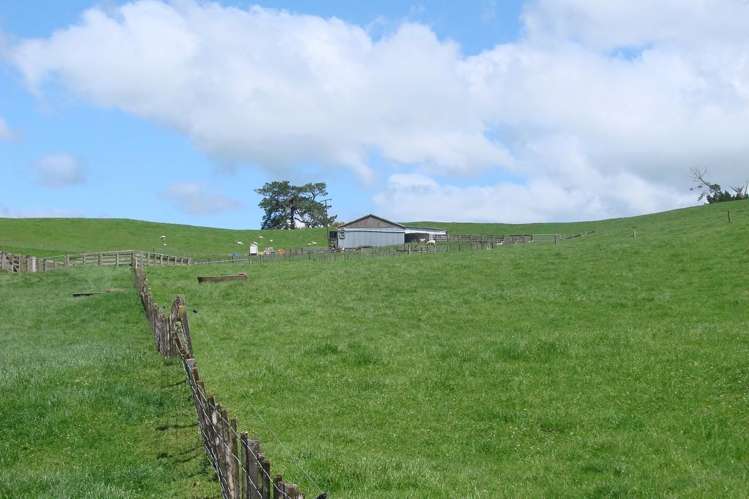 121 Ngapeke Road Otorohanga_5