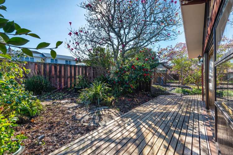 55 Blakeborough Drive Forrest Hill_6