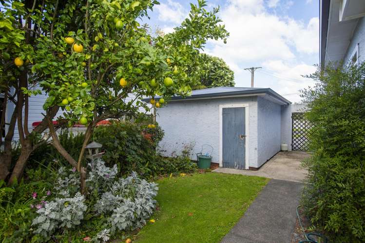 116 Sheehan Street Whataupoko_25