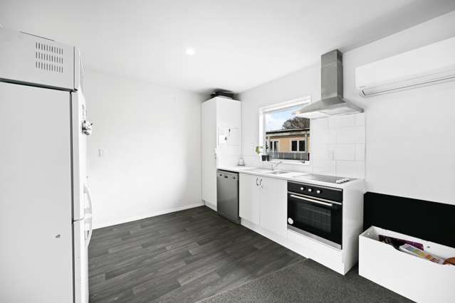 61C Primrose Street Frankton_4