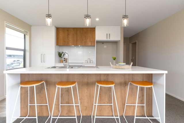 45 Bonecrusher Street Lincoln_3