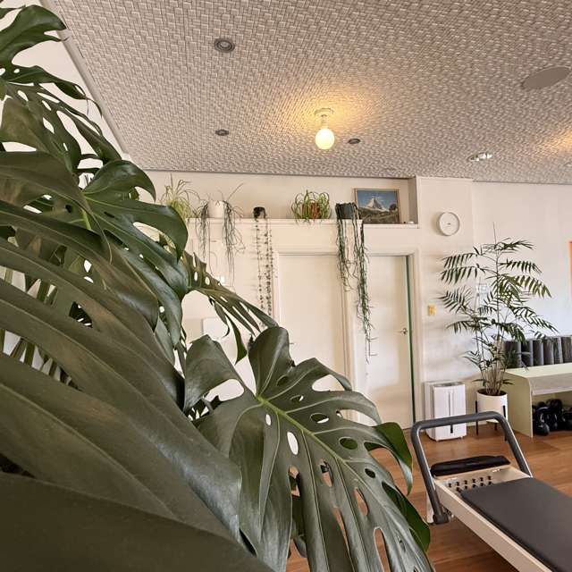 73 Miramar Avenue Miramar_2