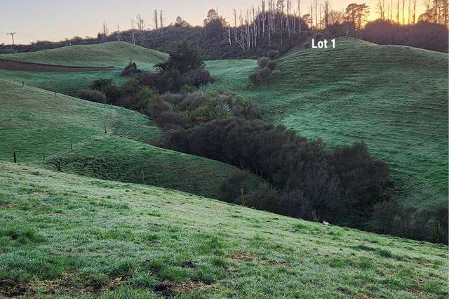 Lots 1 and 2 Kupara Road Ratapiko_4