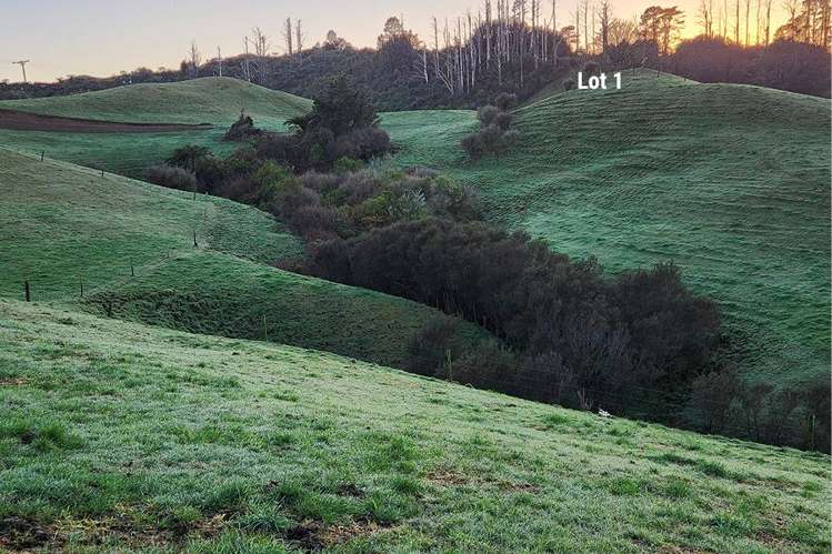 Lots 1 and 2 Kupara Road_4