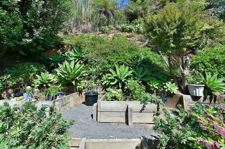 49 Cochrane Avenue Arkles Bay_14