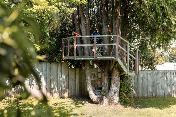 6 Judea Road Judea_18