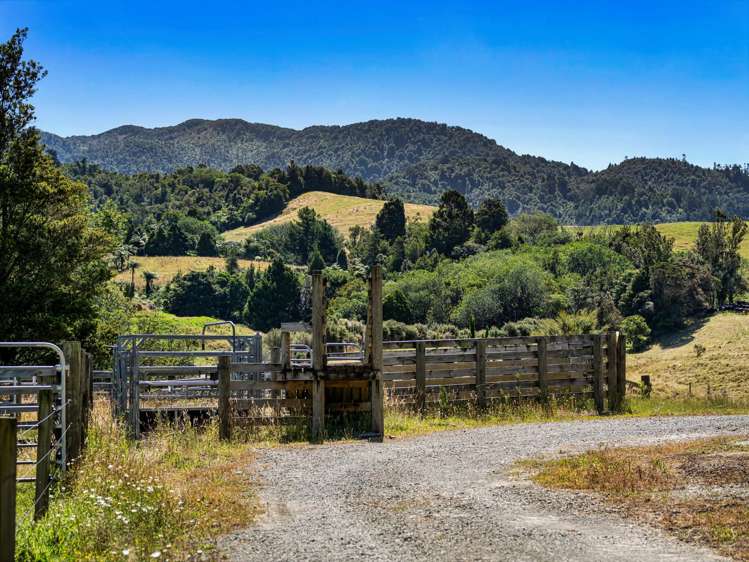 348D Rea Road Katikati_26