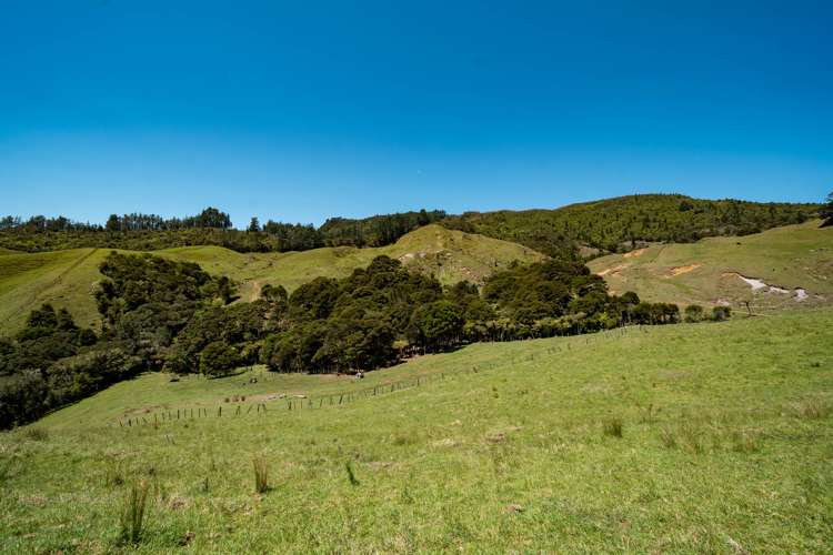 375 Kaimarama Road Kaimarama_18