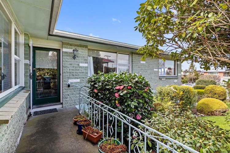 31 Puriri Street Highfield_1