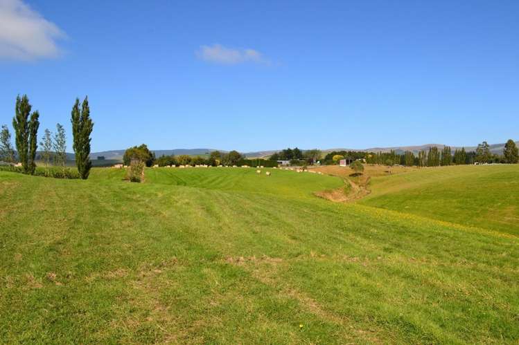 165 Waitepeka Road Catlins Surrounds_9