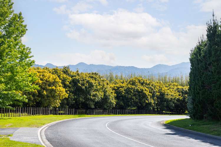 22a Sharp Road Aongatete_17