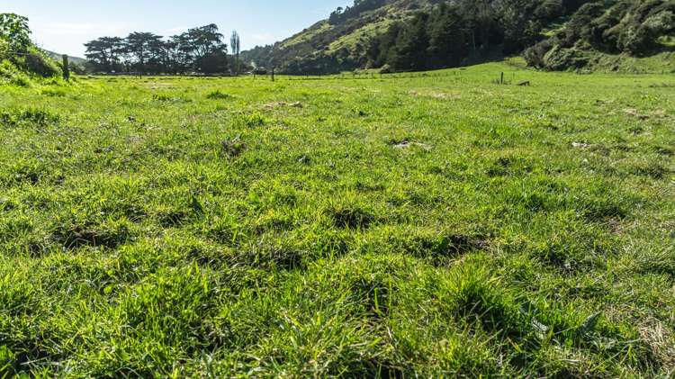 1234 Okains Bay Road Okains Bay_26