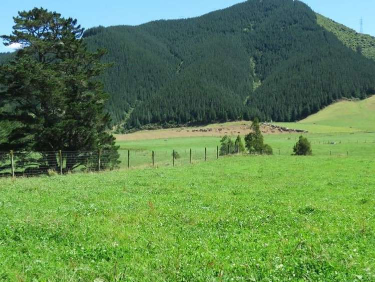 472 Maungatapu Road Rai Valley_5