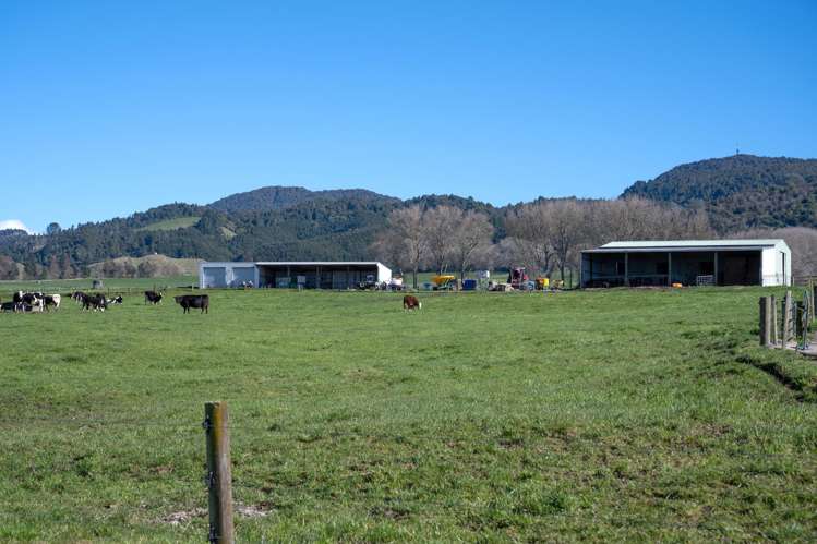 224 Handcock Road Reporoa_15