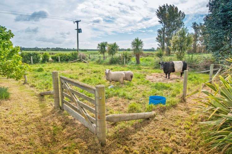 93 Volckman Road Leeston_20