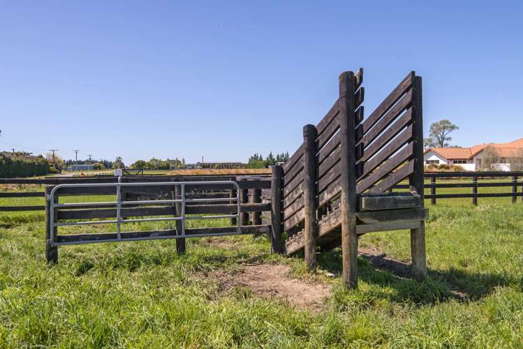 289 Johns Road Fernside_11