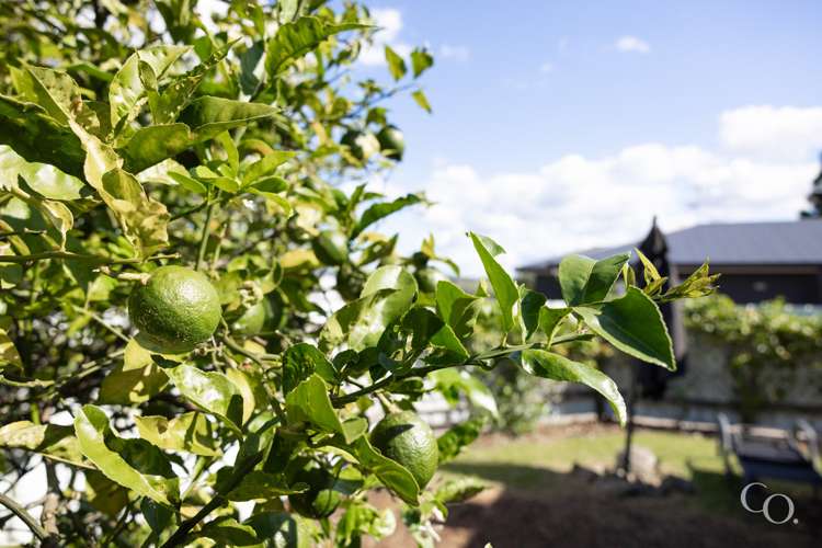 22b Hinerua Street Maungatapu_20