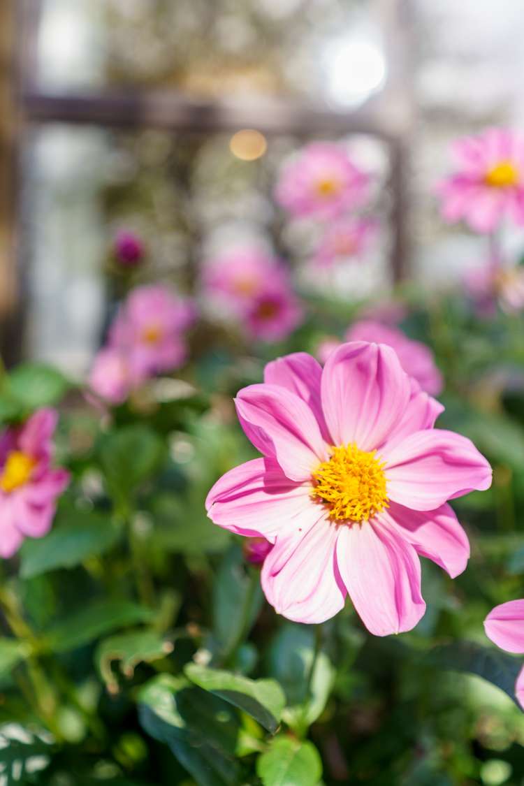 10 Shanaway Close Halswell_30