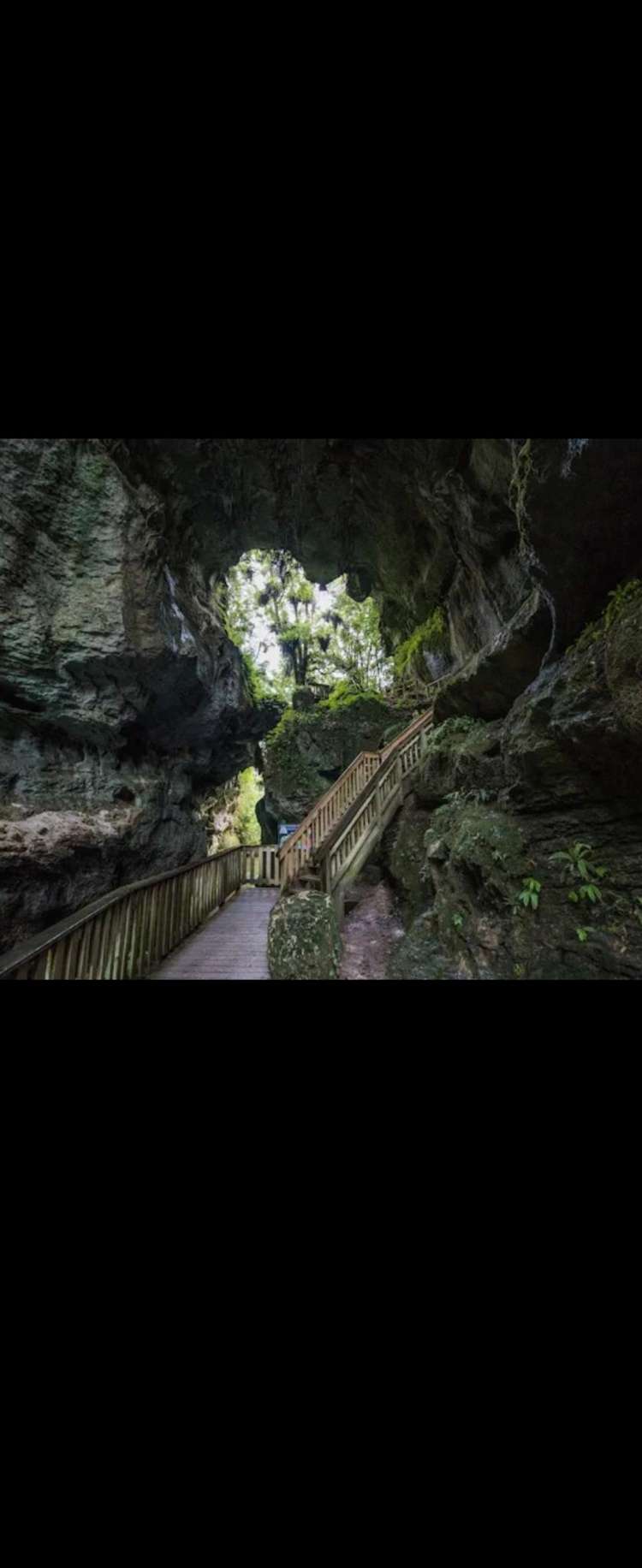 5 Marokopa Road Te Anga_8