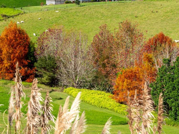 250C Redcliffs Road Kerikeri_20