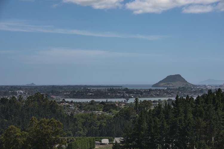 221 Pukemapu Road_2