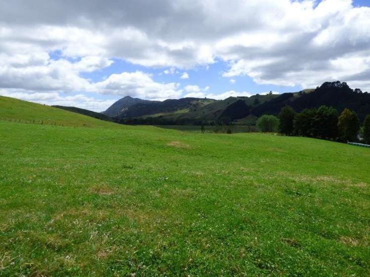 1370 Te Kopia Road Waikite Valley_11