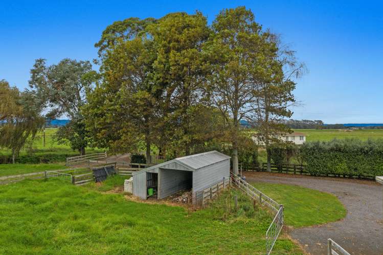 253a East Bank Road Edgecumbe_23