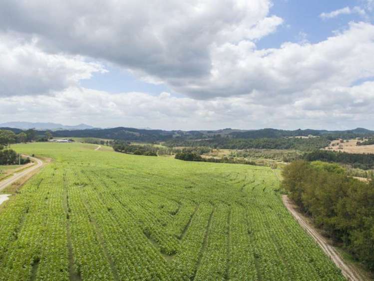 25 Parker Road Otamatea Surrounds_8