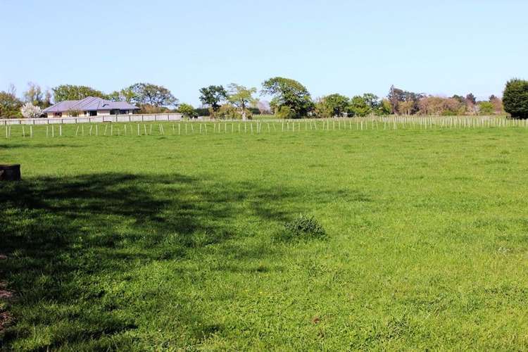 30 Kimberley Road Levin_12